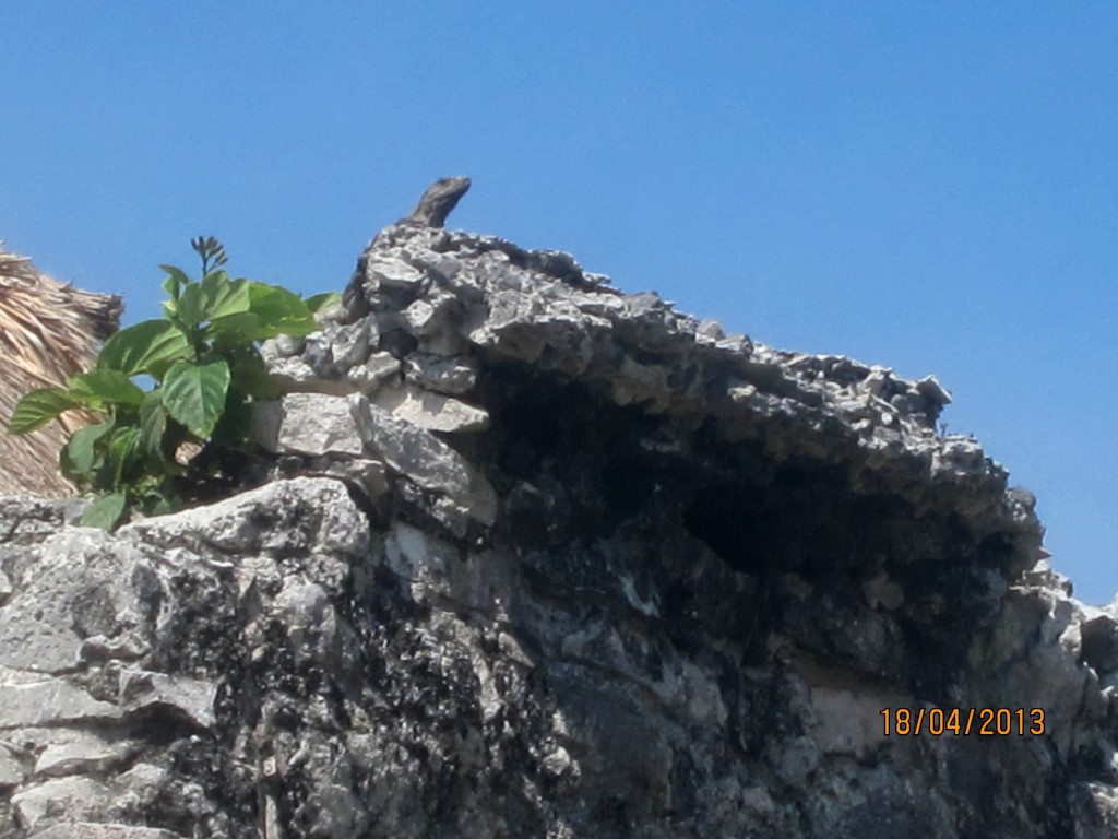 Foto: El Palacio - Tulum (Yucatán), México