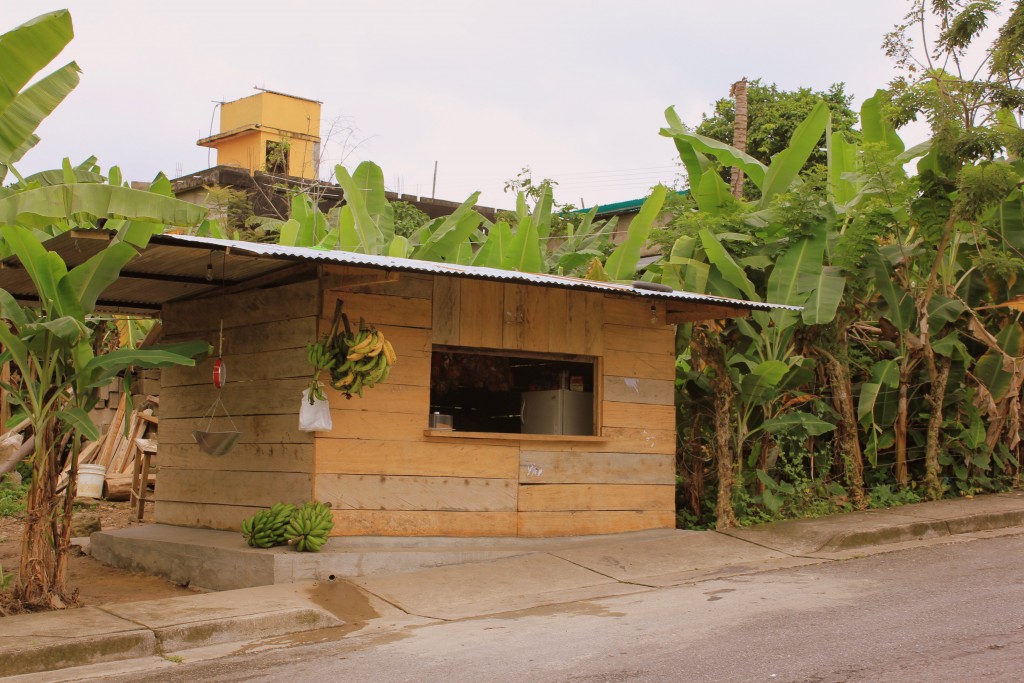 Foto: Bodega - Umuquena (Táchira), Venezuela