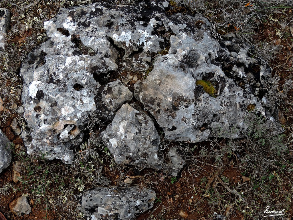 Foto: 130516-10 MOCHALES - Mochales (Guadalajara), España