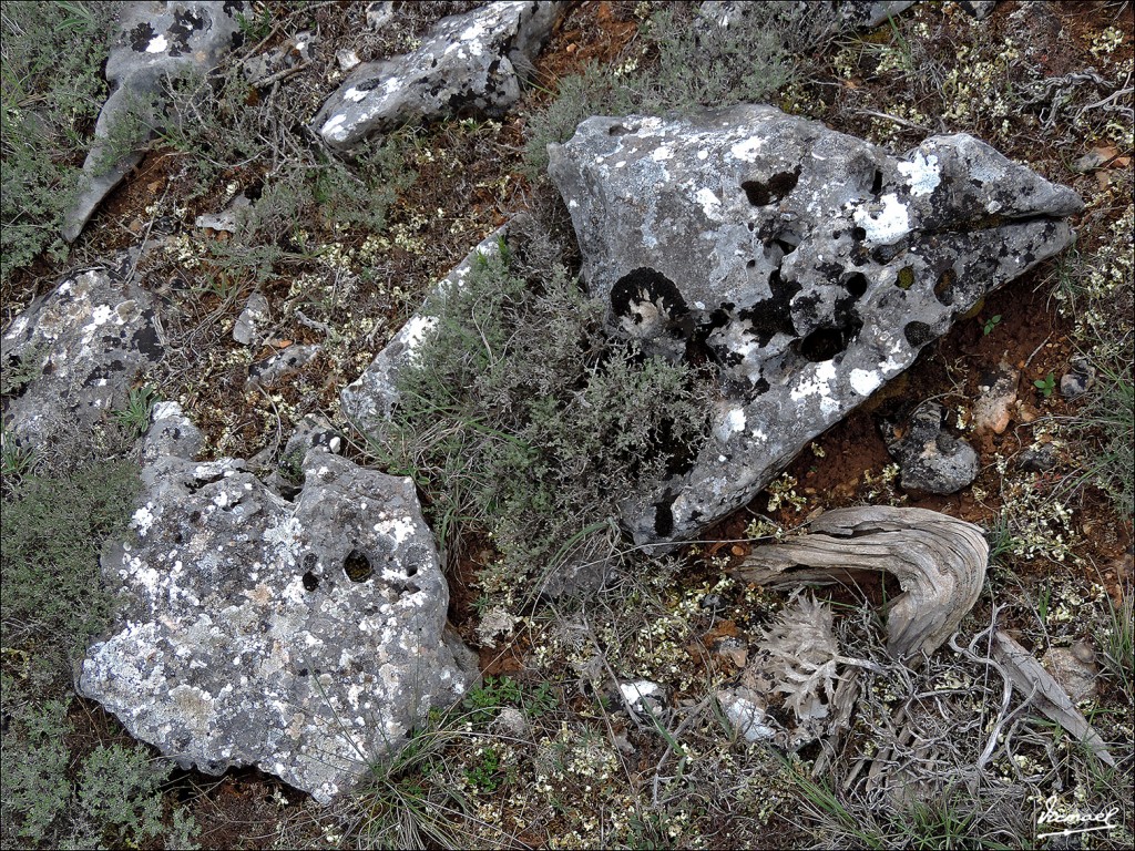 Foto: 130516-11 MOCHALES - Mochales (Guadalajara), España