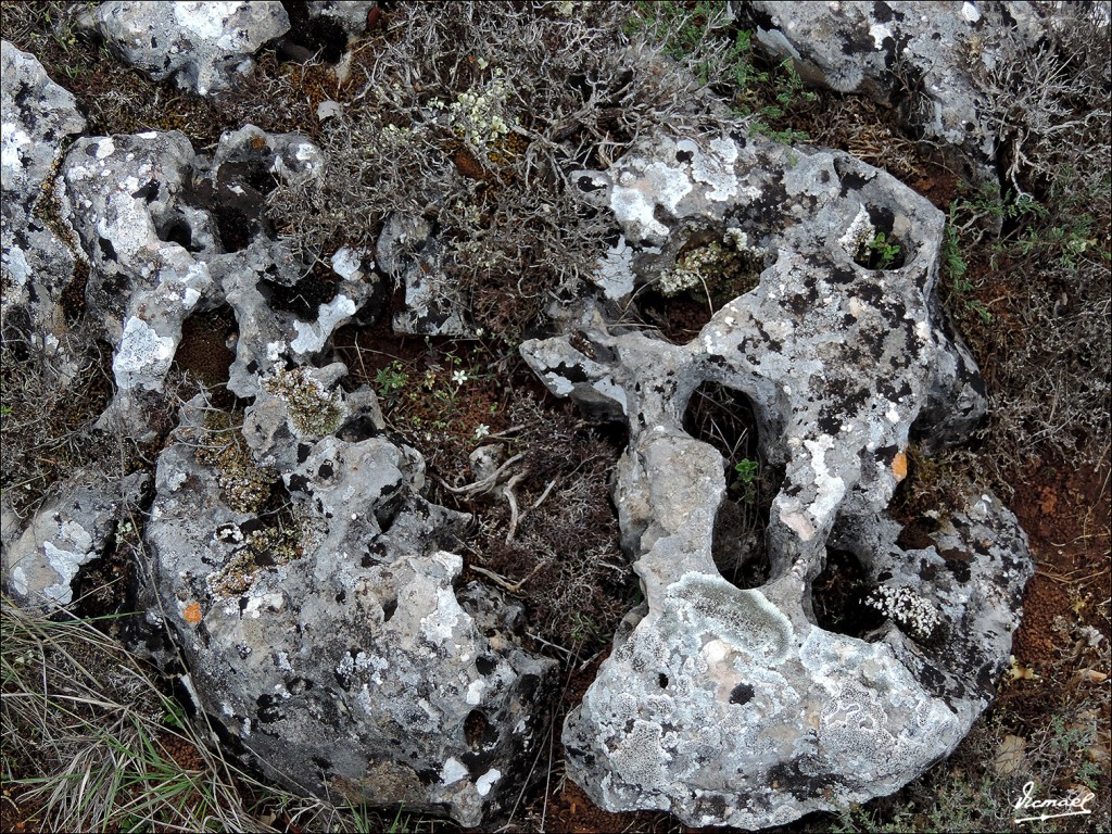 Foto 13051614 MOCHALES Mochales (Guadalajara), España