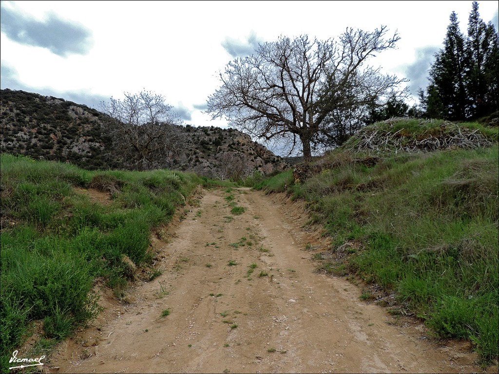 Foto: 130516-16 MOCHALES - Mochales (Guadalajara), España