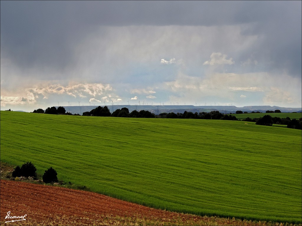 Foto: 130516-27 ALCONCHEL DE ARIZA - Alconchel De Ariza (Zaragoza), España