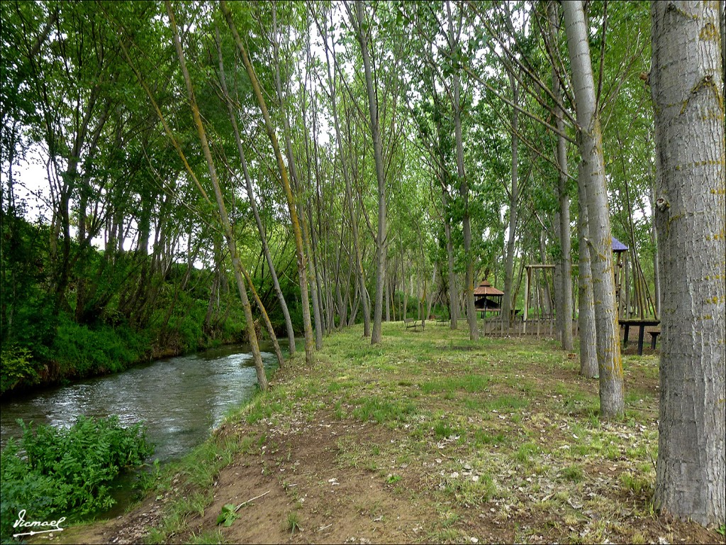 Foto: 130519-07 ARCOS DE JALON - Arcos De Jalon (Soria), España