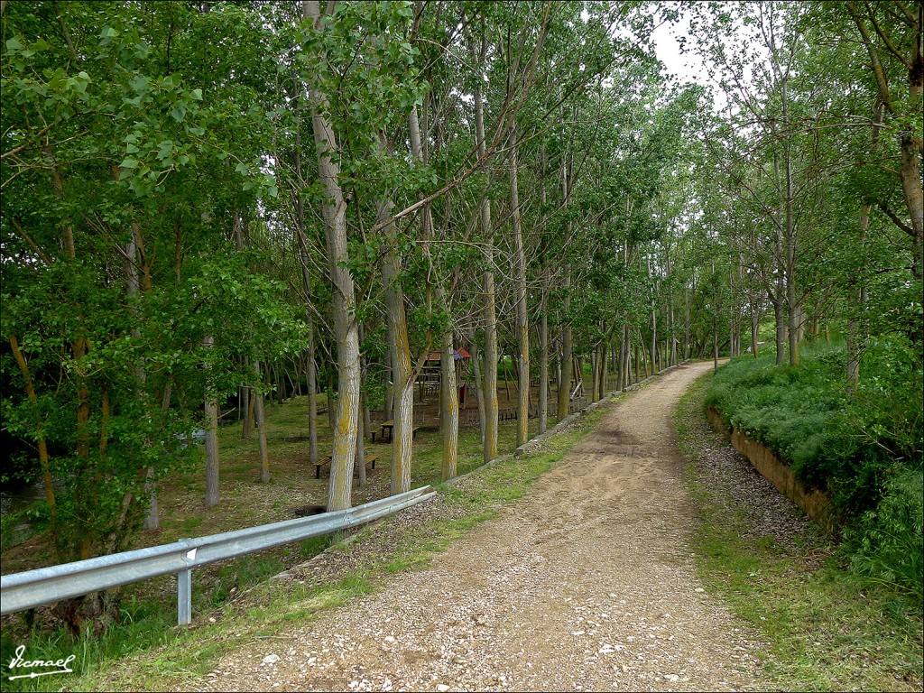 Foto: 130519-08 ARCOS DE JALON - Arcos De Jalon (Soria), España