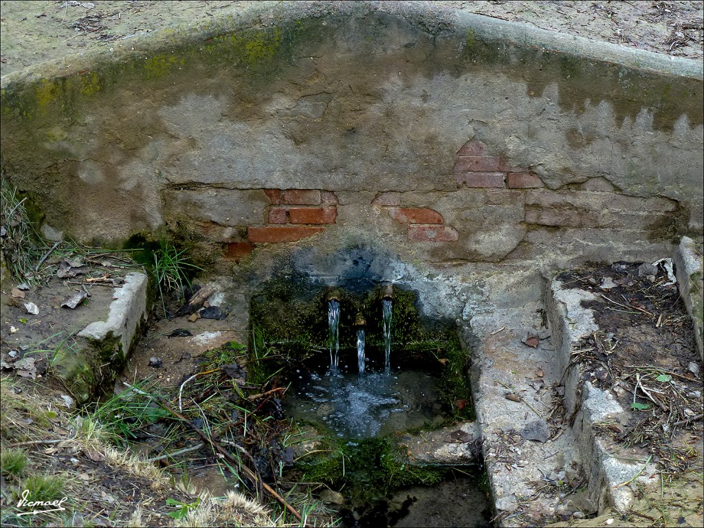Foto: 130519-12 ARCOS DE JALON - Arcos De Jalon (Soria), España