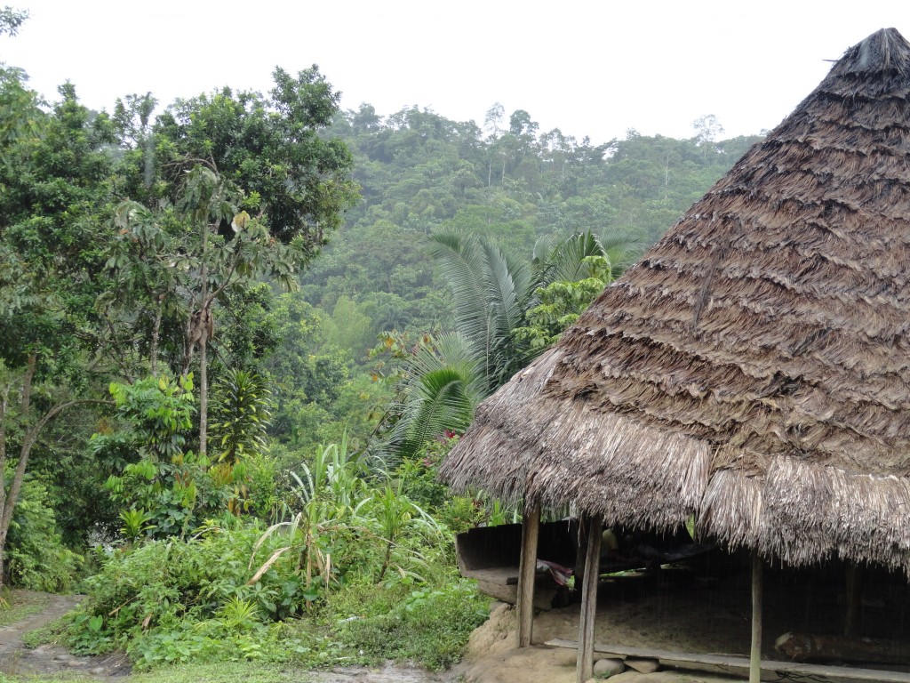 Foto: Choza - Simón Bolívar (Villa Flora) (Pastaza), Ecuador