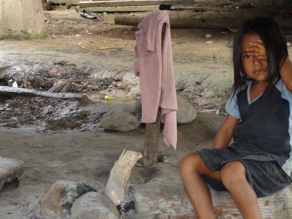 Foto: TULLPAS ( Fogon) - Simón Bolívar (Villa Flora) (Pastaza), Ecuador