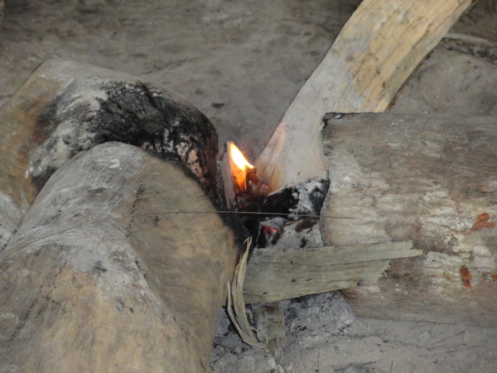 Foto: TULLPAS ( Fogon) - Simón Bolívar (Villa Flora) (Pastaza), Ecuador