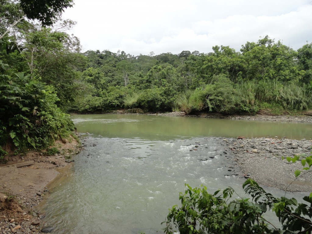 Foto: Rio Chico Copataza - Simón Bolívar (Villa Flora) (Pastaza), Ecuador
