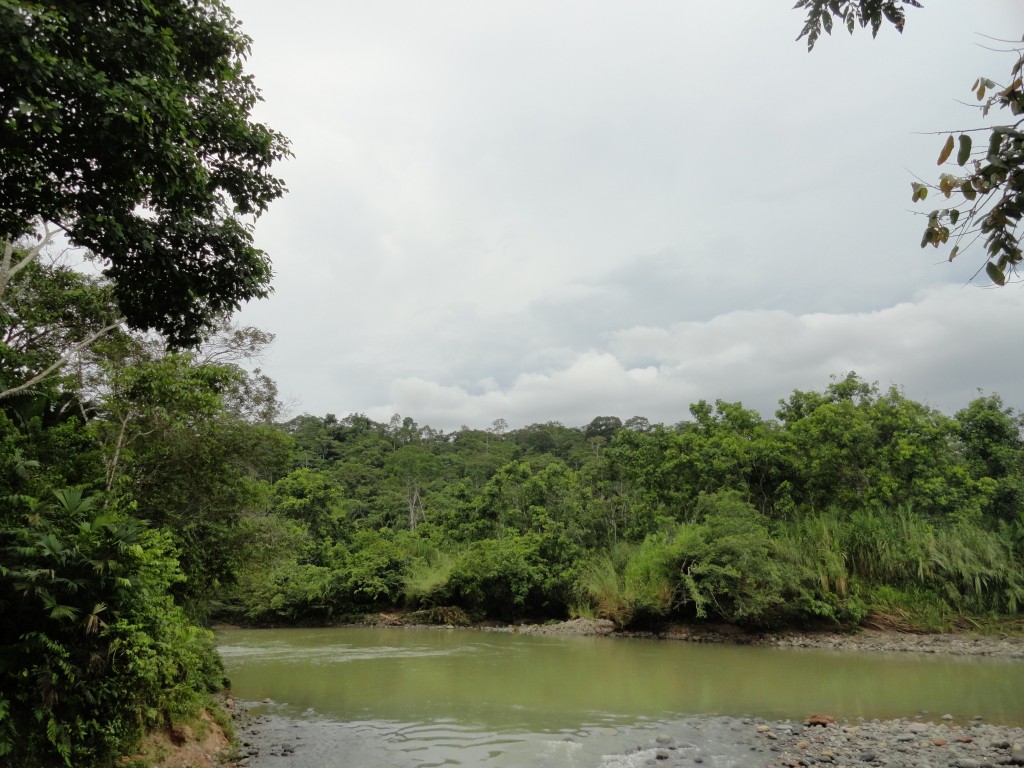 Foto: Rio Chico Cpataza - Simón Bolívar (Villa Flora) (Pastaza), Ecuador
