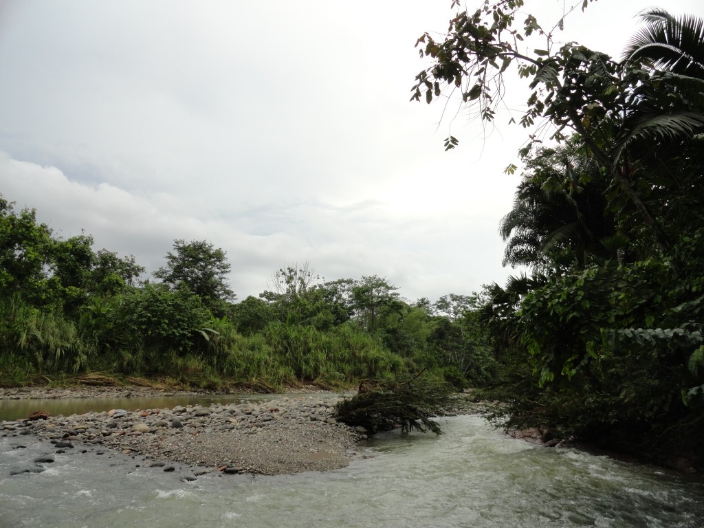 Foto: Rio Chico Cpataza - Simón Bolívar (Villa Flora) (Pastaza), Ecuador