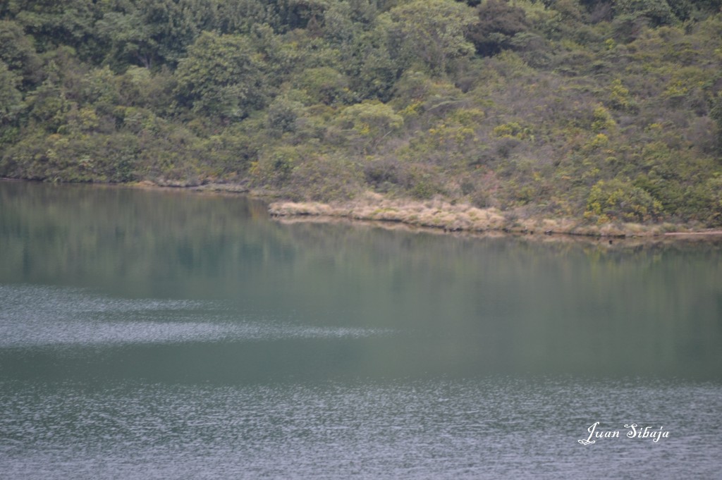 Foto: Laguna Volcan Poás - Poás (Alajuela), Costa Rica