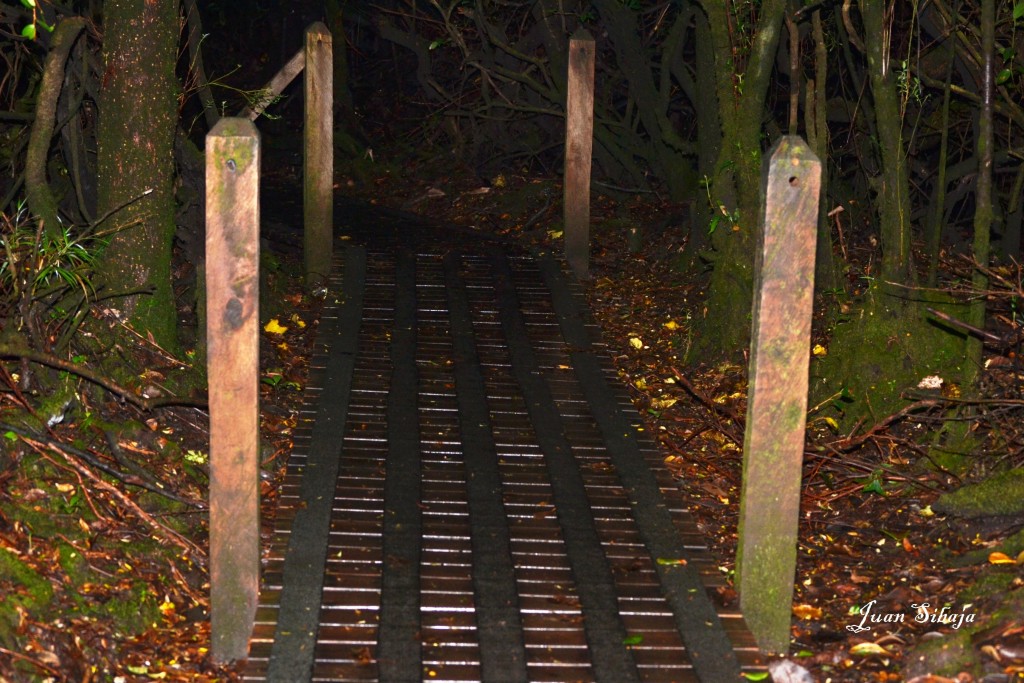 Foto: Volcan Poás - Poás (Alajuela), Costa Rica