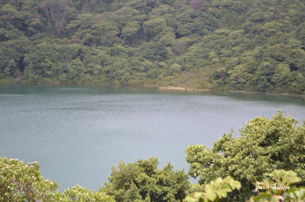 Foto: Laguna Volcan Poás - Poás (Alajuela), Costa Rica