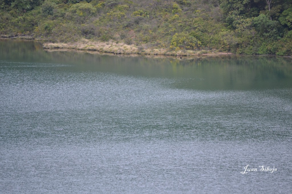 Foto: Laguna Volcan Poás - Poás (Alajuela), Costa Rica