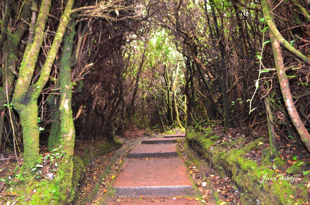 Foto: VOLCAN POÁS - Poás (Alajuela), Costa Rica