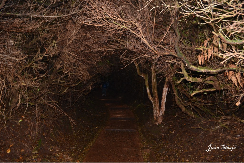 Foto: VOLCAN POÁS - Poás (Alajuela), Costa Rica