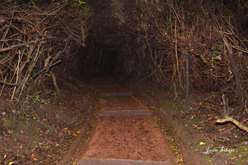 Foto: VOLCAN POÁS - Poás (Alajuela), Costa Rica