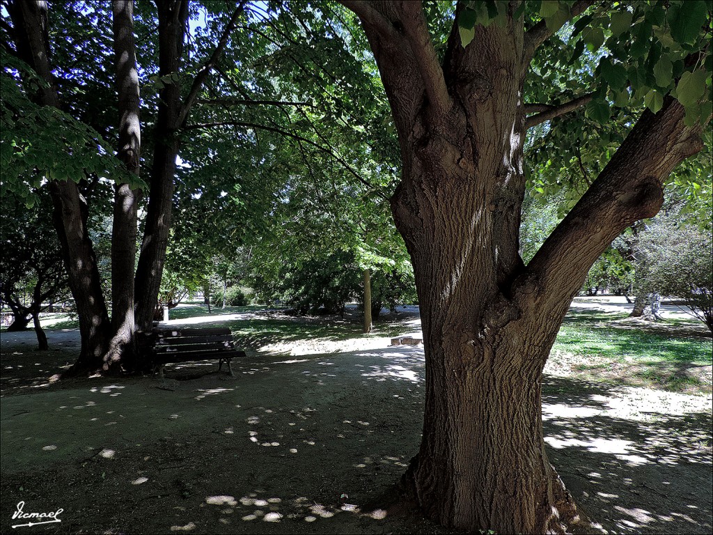 Foto: 130526-08 PARQUE ZARAGOZA - Zaragoza (Aragón), España