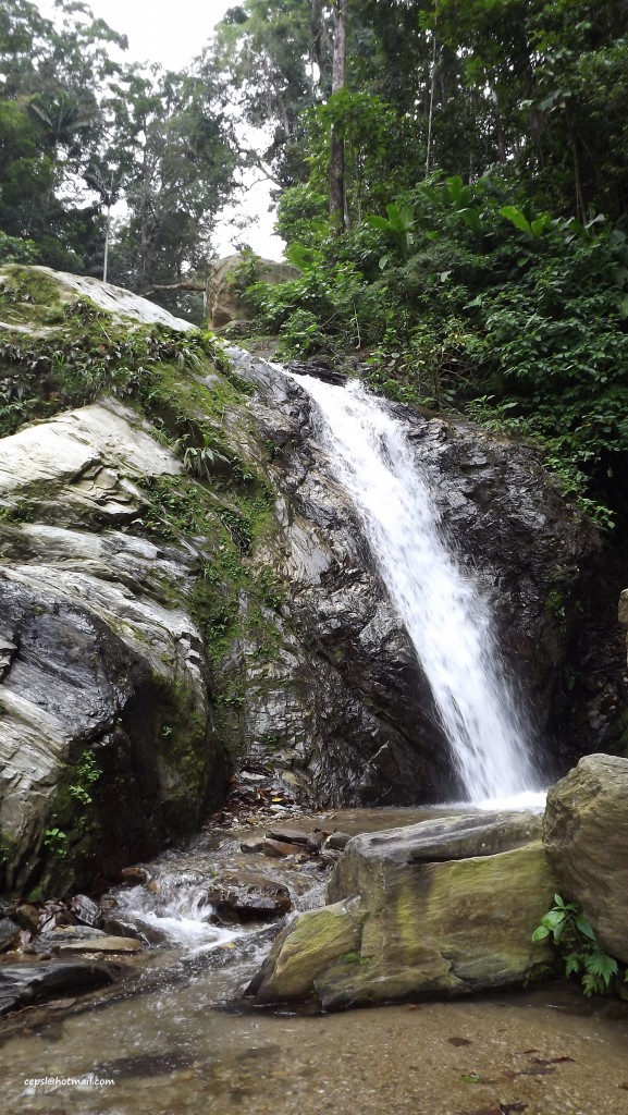 Foto: Cascada de frías aguas - Parque Nacional Henry Pittier (Aragua), Venezuela
