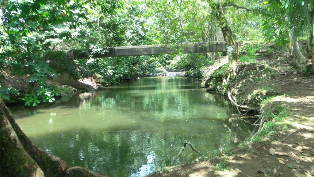 Foto: Rios - Upala (Alajuela), Costa Rica