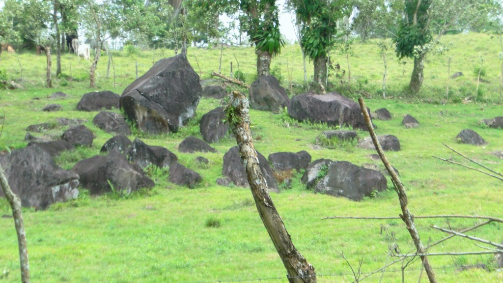 Foto: Fincas - Upala (Alajuela), Costa Rica