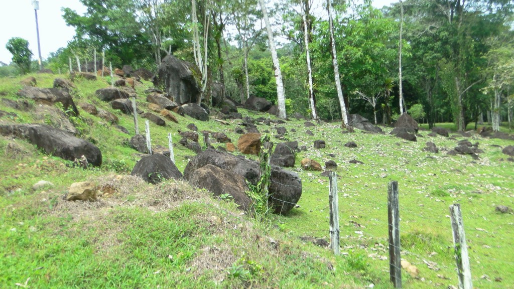 Foto: Fincas - Upala (Alajuela), Costa Rica