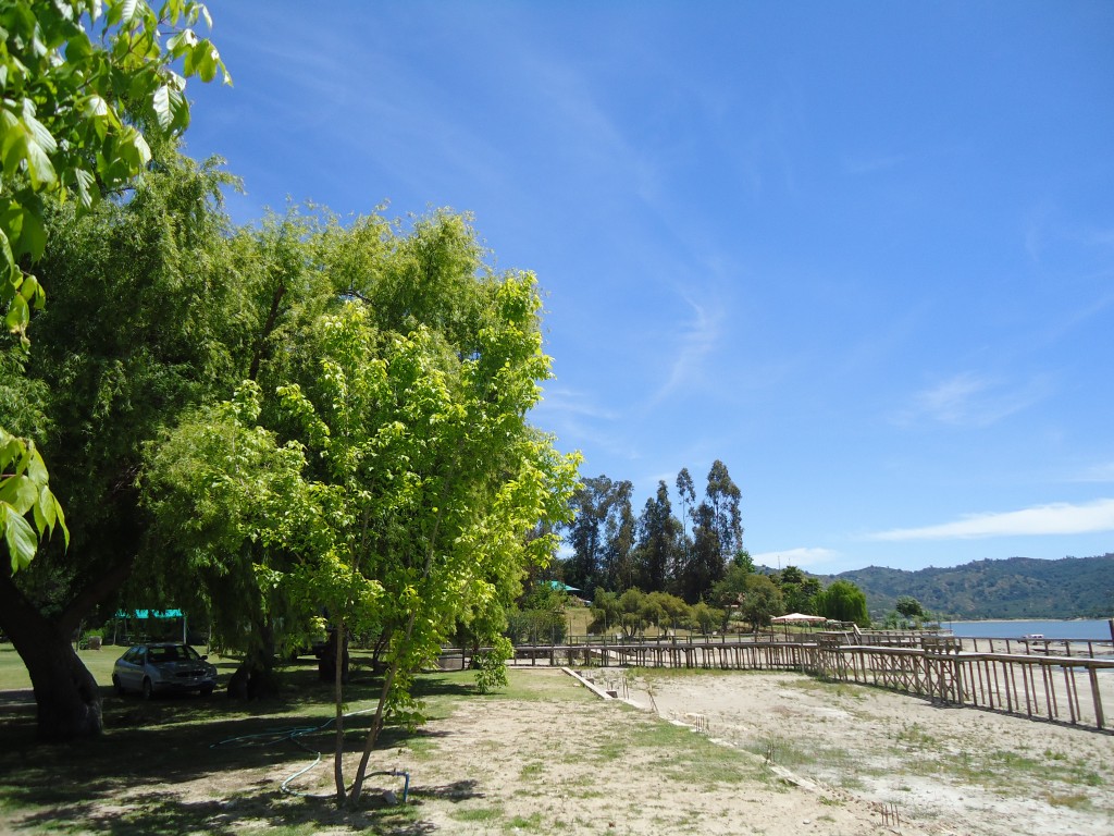 Foto de Lago Rapel (Libertador General Bernardo OʼHiggins), Chile