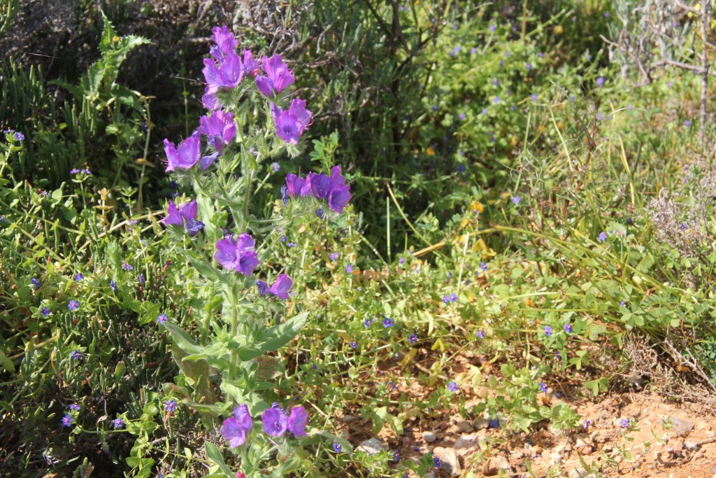 Foto de Puerto de Santa María (Cádiz), España