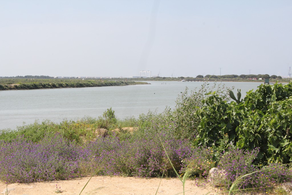 Foto de Puerto de Santa María (Cádiz), España