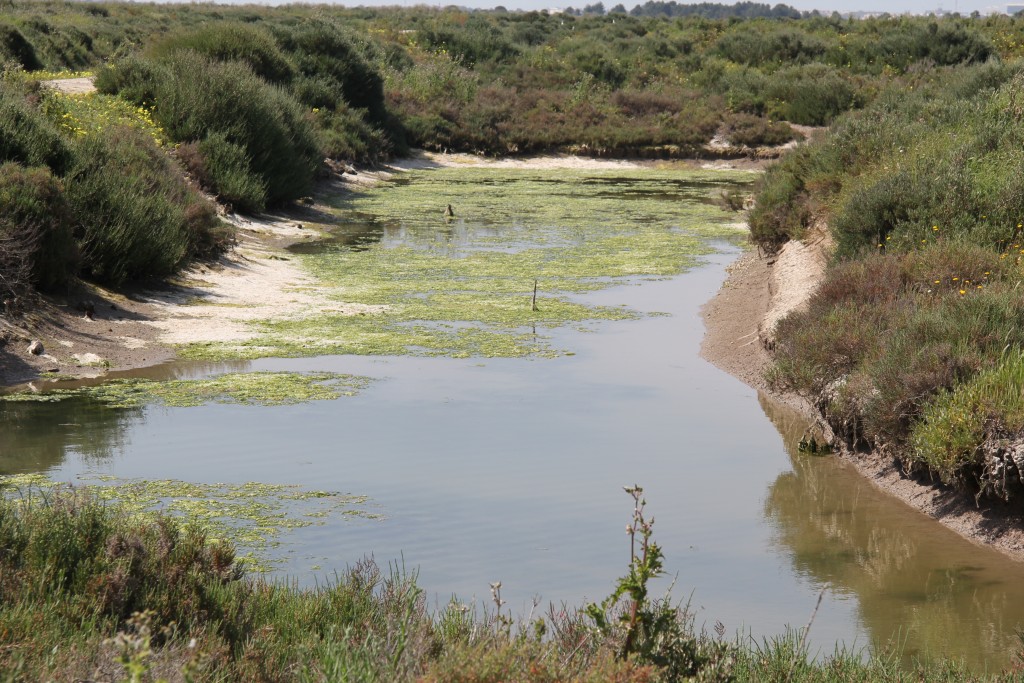 Foto de Puerto de Santa María (Cádiz), España