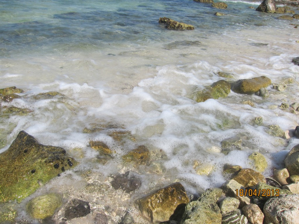 Foto: Riviera Maya - Tulum (Quintana Roo), México
