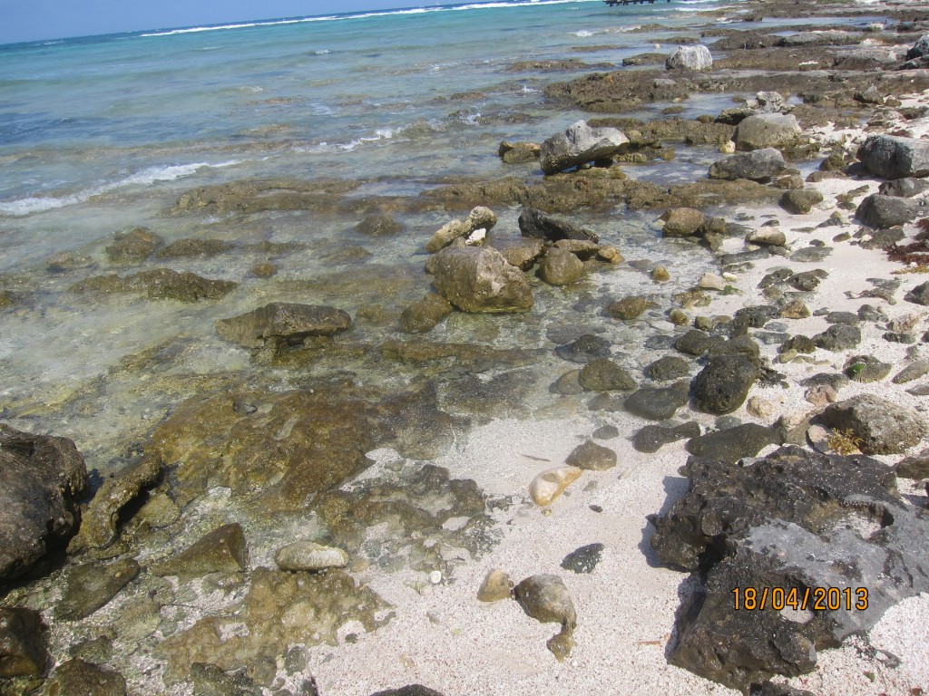 Foto: Riviera Maya - Tulum (Quintana Roo), México