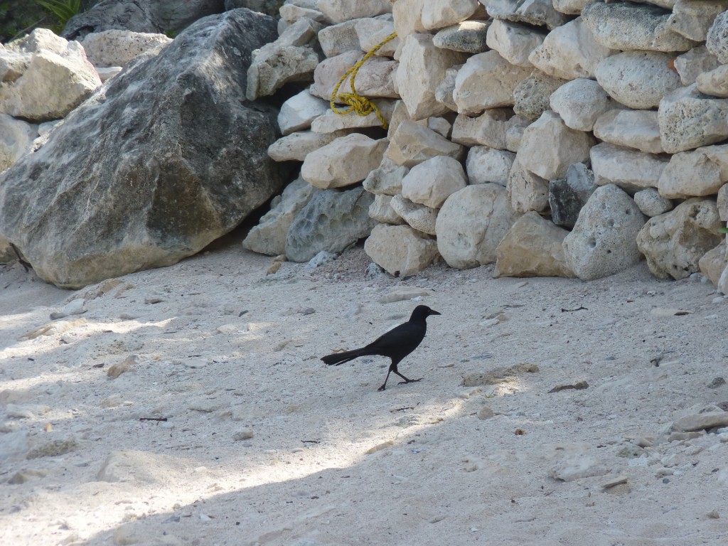 Foto: Riviera Maya - Tulum (Quintana Roo), México