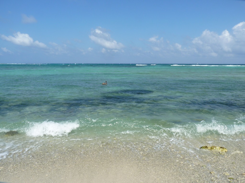 Foto: Riviera Maya - Tulum (Quintana Roo), México