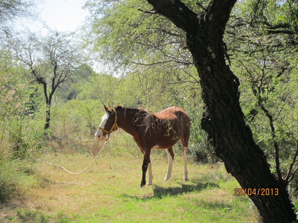 Foto: Termas de Guaychú - Gualeguaychú (Entre Ríos), Argentina