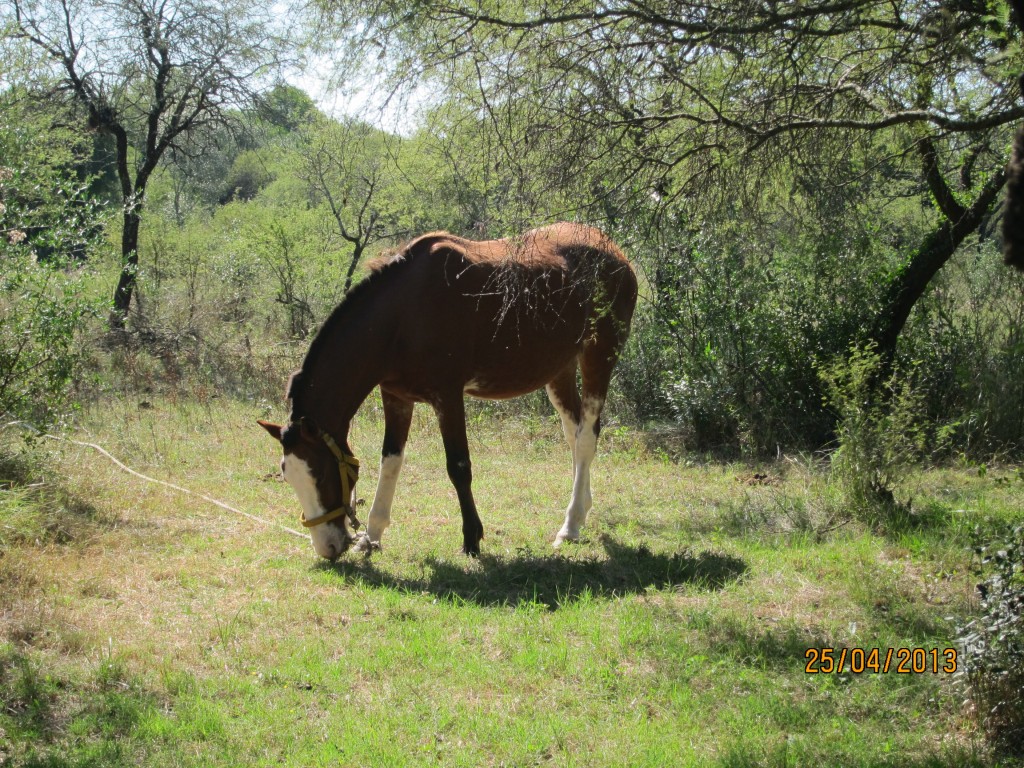 Foto: Termas de Guaychú - Gualeguaychú (Entre Ríos), Argentina