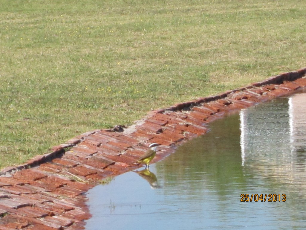 Foto: Termas de Guaychú - Gualeguaychú (Entre Ríos), Argentina