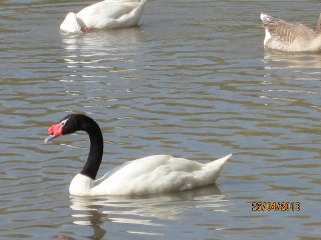 Foto: Parque Unzué - Gualeguaychú (Entre Ríos), Argentina