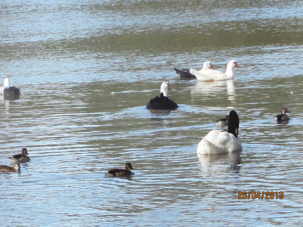 Foto: Parque Unzué - Gualeguaychú (Entre Ríos), Argentina
