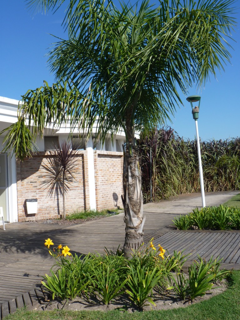 Foto: Termas de Guaychú - Gualeguaychú (Entre Ríos), Argentina