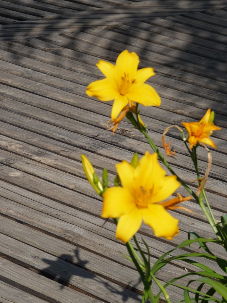 Foto: Termas de Guaychú - Gualeguaychú (Entre Ríos), Argentina