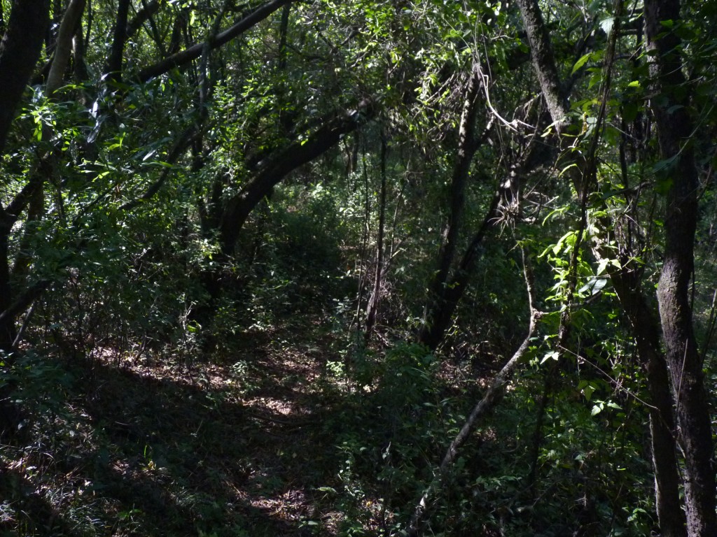Foto: Termas de Guaychú - Gualeguaychú (Entre Ríos), Argentina