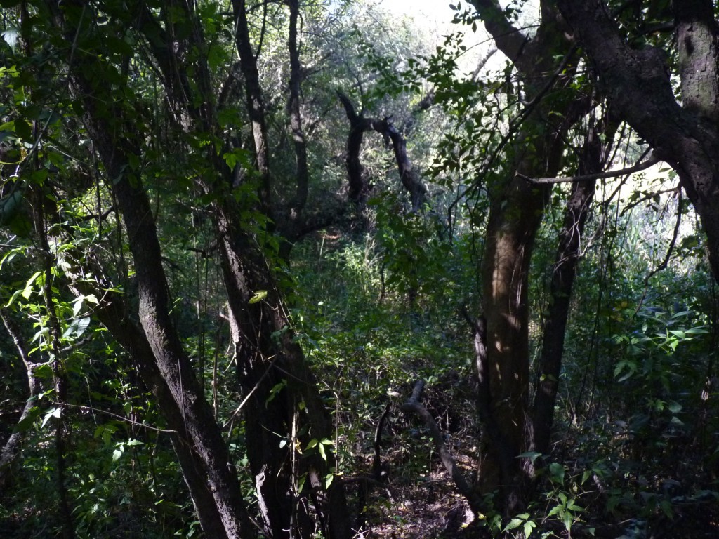 Foto: Termas de Guaychú - Gualeguaychú (Entre Ríos), Argentina