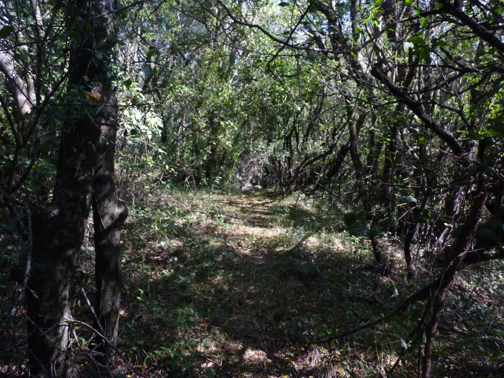 Foto: Termas de Guaychú - Gualeguaychú (Entre Ríos), Argentina