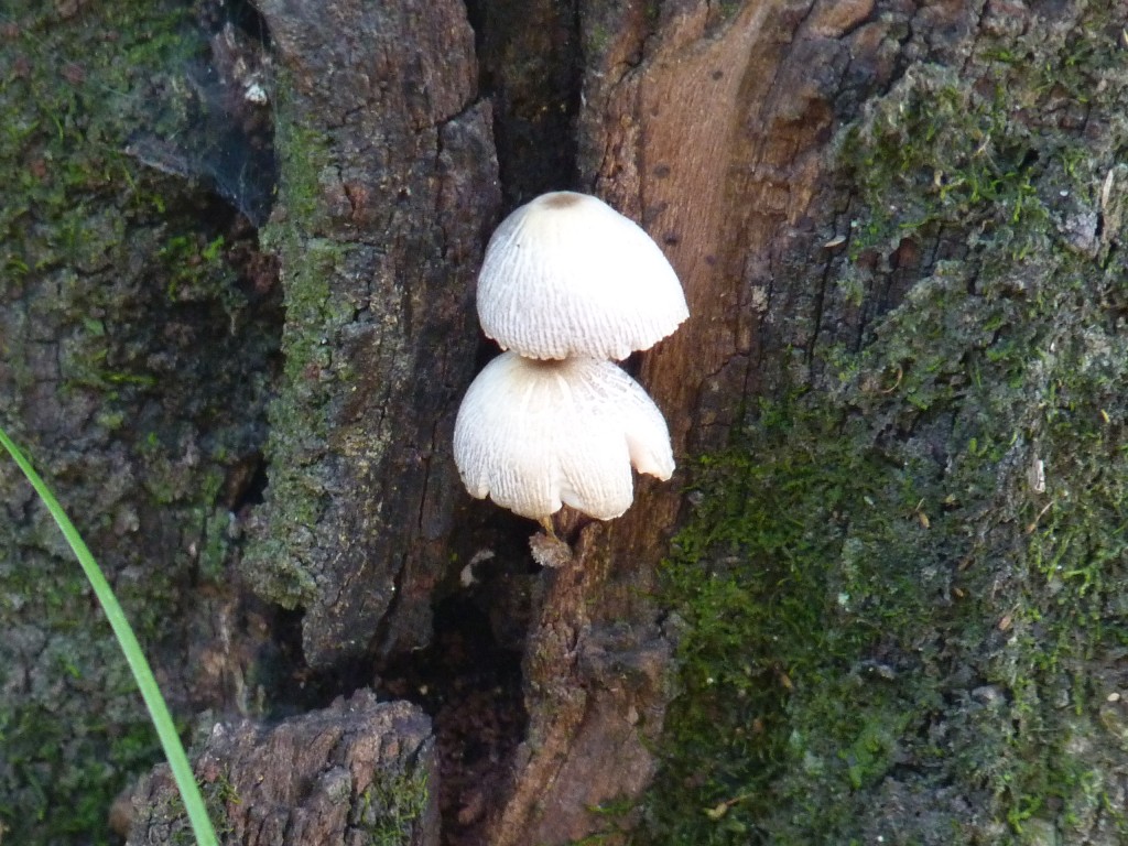 Foto: Termas de Guaychú - Gualeguaychú (Entre Ríos), Argentina