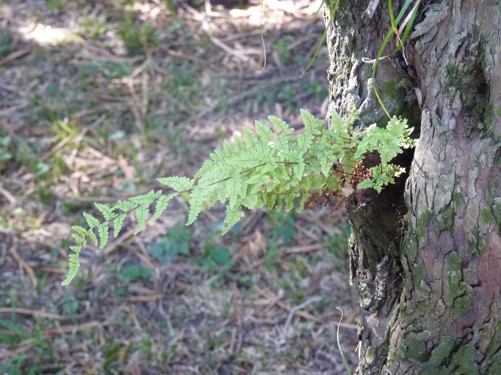 Foto: Termas de Guaychú - Gualeguaychú (Entre Ríos), Argentina
