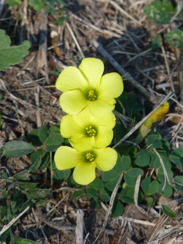 Foto: Termas de Guaychú - Gualeguaychú (Entre Ríos), Argentina