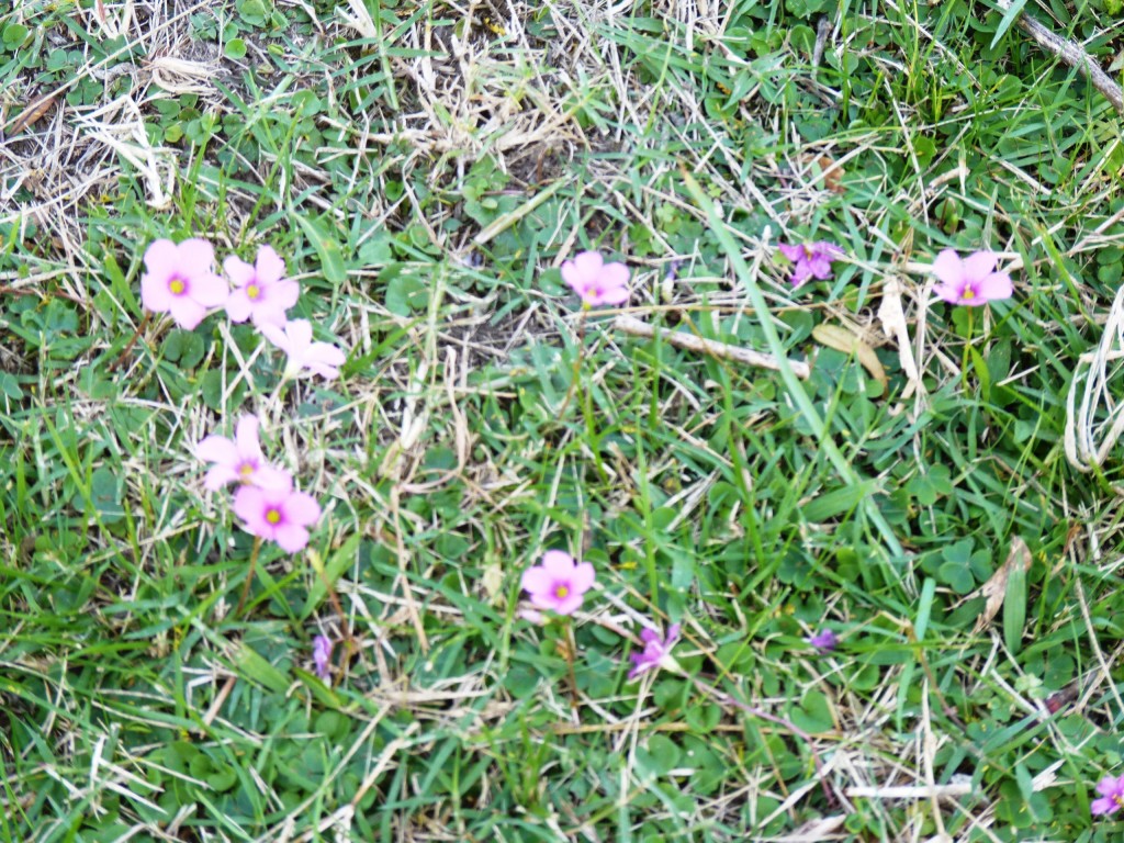 Foto: Termas de Guaychú - Gualeguaychú (Entre Ríos), Argentina
